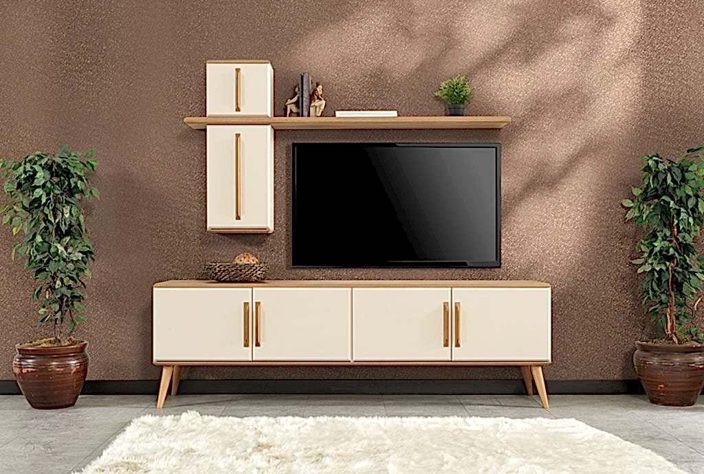 Liza Tv Ünitesi